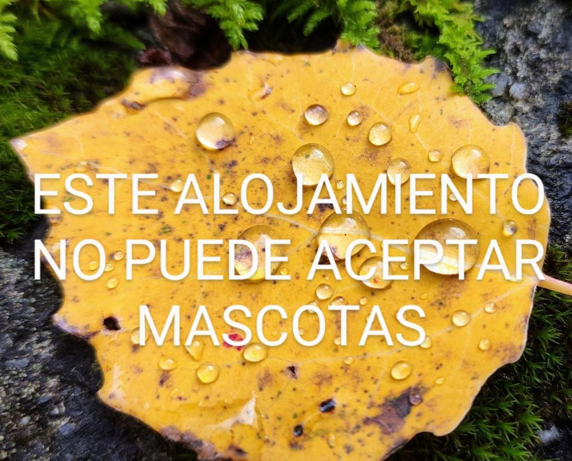 Apartamento Pleta del Mont Atico Benasque Exterior foto
